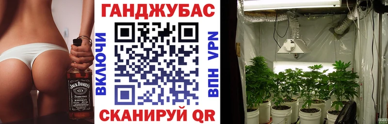 Наркота Пугачёв ГАШИШ Канабис АМФ Меф мяу мяу Псилоцибиновые грибы A-PVP