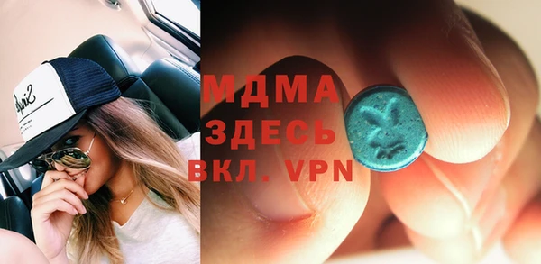 индика Арсеньев