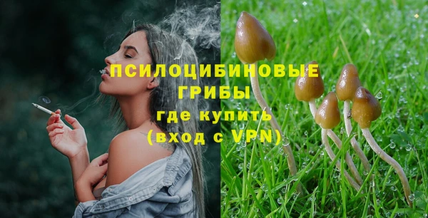 прущие крисы Богданович