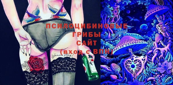 дмт Армянск